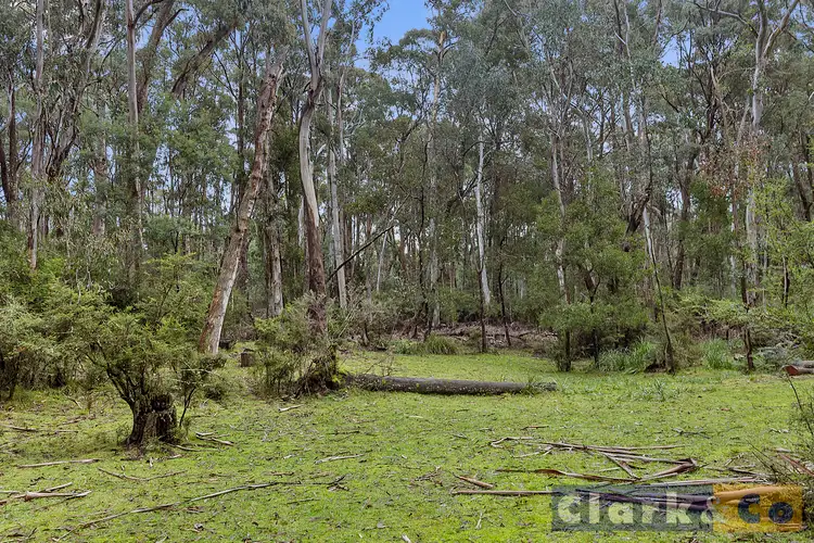 Fourth view of Homely house listing, 125 Tolmie-Mahaikah Road, Tolmie VIC 3723