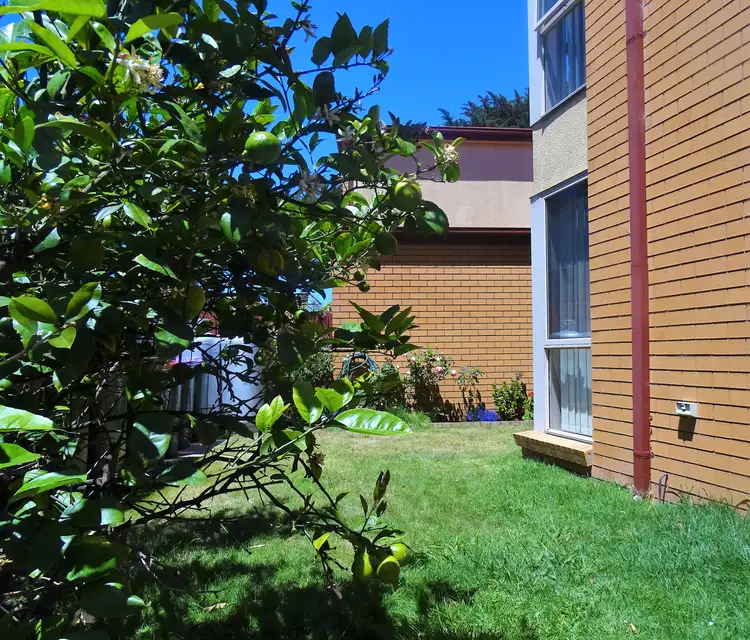 Fifth view of Homely townhouse listing, 2/181 Great Ocean Road, Apollo Bay VIC 3233