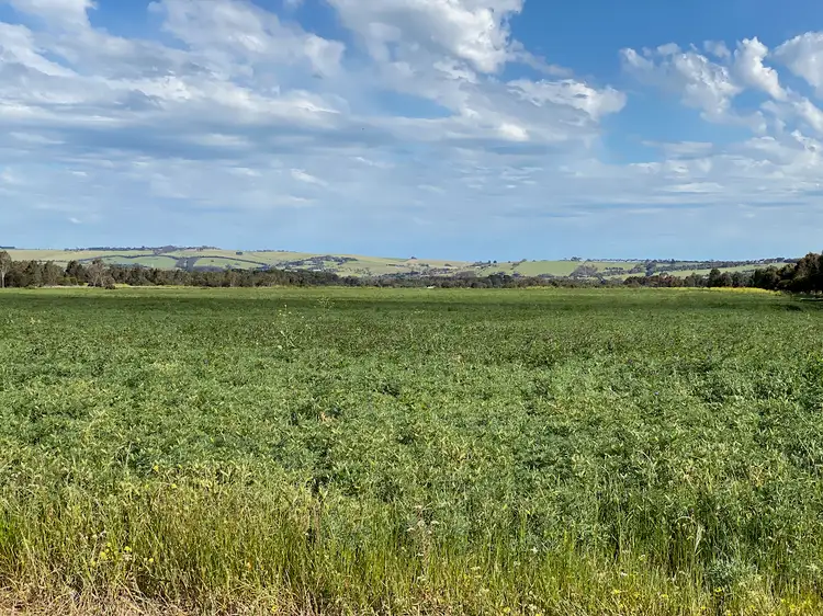 Main view of Homely rural property listing, LOT 7, Sec. 9 Friend in Hand Road, Stonehaven VIC 3218