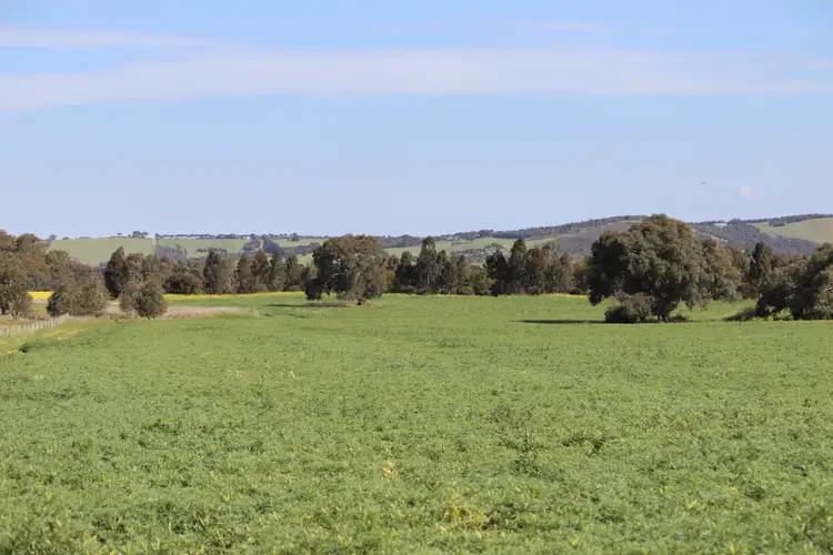 Sixth view of Homely rural property listing, LOT 7, Sec. 9 Friend in Hand Road, Stonehaven VIC 3218