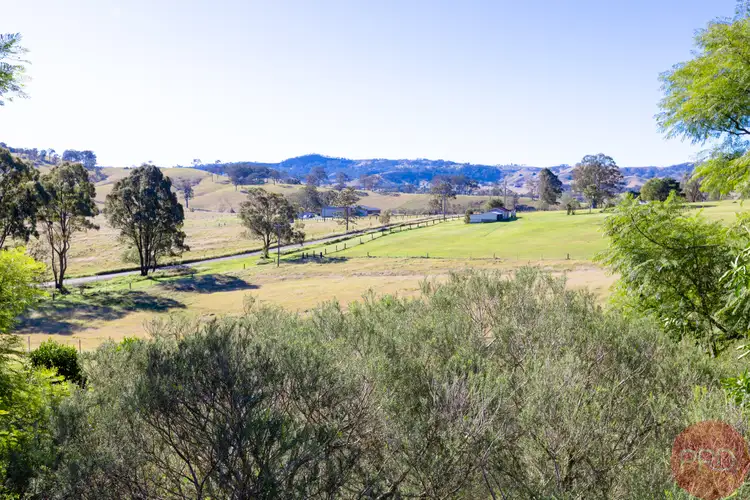 58 Clements Road, East Gresford NSW 2311