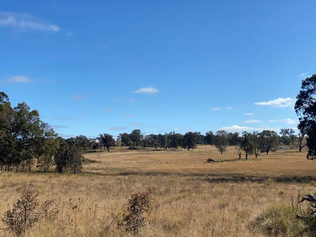 Main view of Homely rural property listing, 118 Neeleys Lane, Cassilis NSW 2329