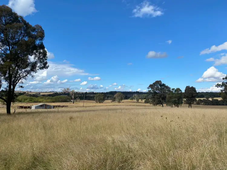 Second view of Homely rural property listing, 118 Neeleys Lane, Cassilis NSW 2329