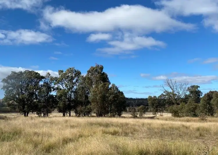 Fourth view of Homely rural property listing, 118 Neeleys Lane, Cassilis NSW 2329