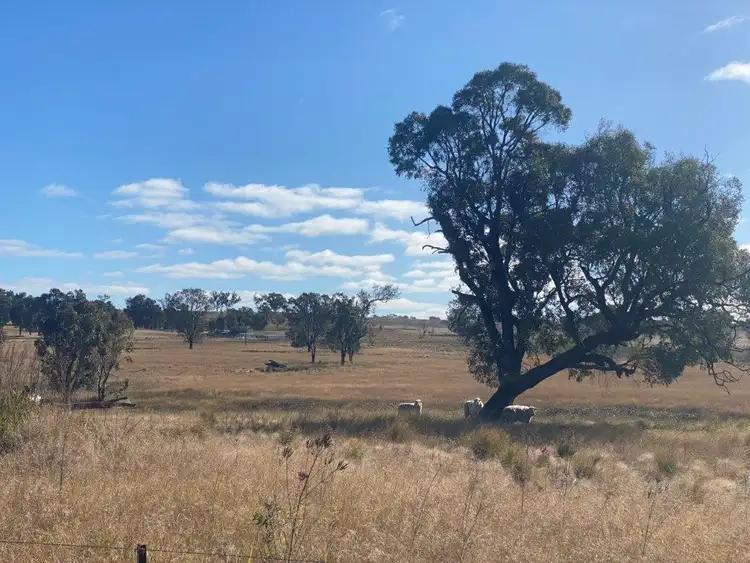 Fifth view of Homely rural property listing, 118 Neeleys Lane, Cassilis NSW 2329