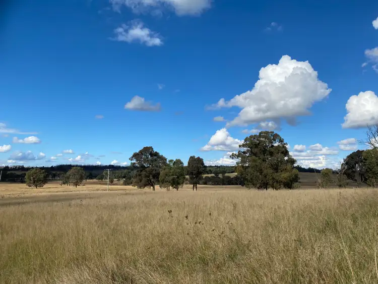 Sixth view of Homely rural property listing, 118 Neeleys Lane, Cassilis NSW 2329