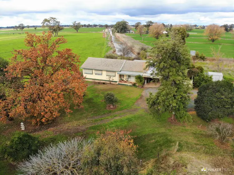 Main view of Homely rural property listing, 729 Gillies Road, Girgarre VIC 3624