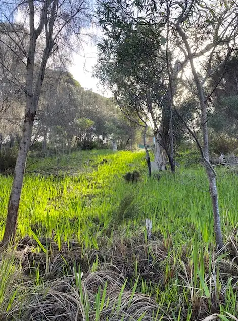 Sixth view of Homely land listing, 15 Scenic Drive, American River SA 5221