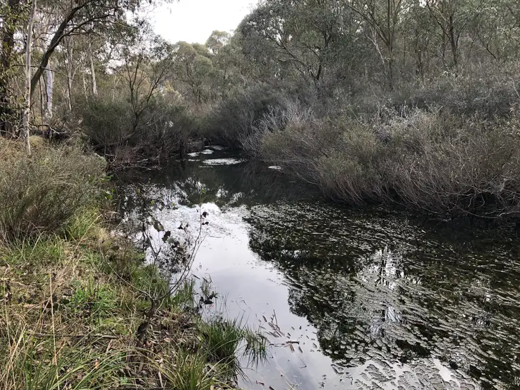 Fifth view of Homely rural property listing, 631 Warregal Corner Road, Steeple Flat NSW 2631