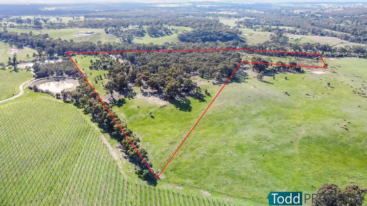 Main view of Homely rural property listing, LOT 2 Tunnecliffs Lane, Ladys Pass VIC 3523