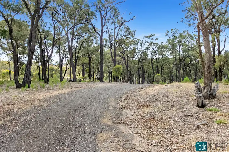 Fifth view of Homely rural property listing, LOT 2 Tunnecliffs Lane, Ladys Pass VIC 3523