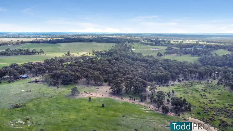 Seventh view of Homely rural property listing, LOT 2 Tunnecliffs Lane, Ladys Pass VIC 3523