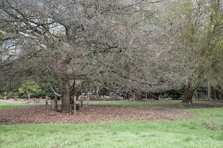 Third view of Homely rural property listing, 87 Rodger Place, Bushfield VIC 3281