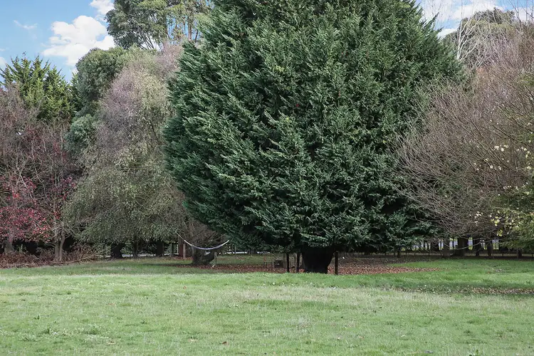 Seventh view of Homely rural property listing, 87 Rodger Place, Bushfield VIC 3281