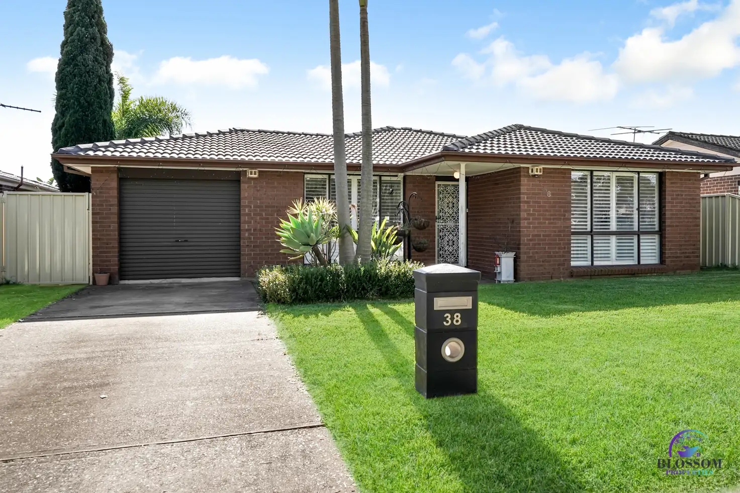 Main view of Homely house listing, 38 Tilden Street, Plumpton NSW 2761