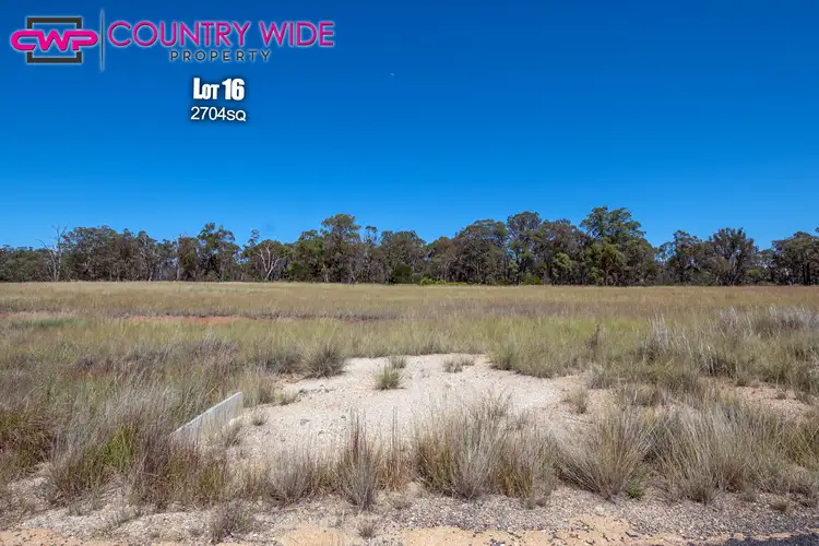 Second view of Homely land listing, 16 Marshall Way, Emmaville NSW 2371