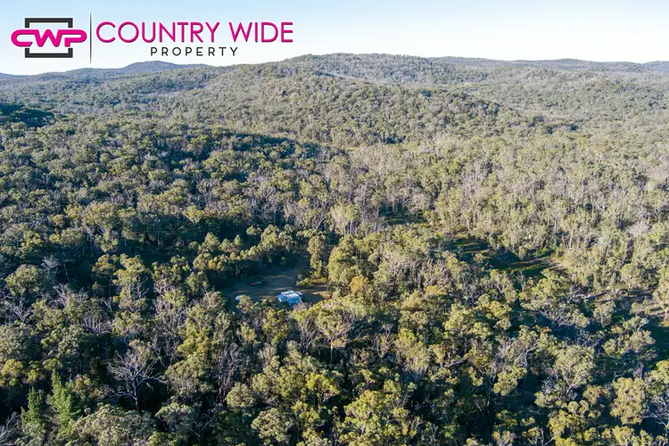 LOT 2 Carrot Farm Road, Deepwater NSW 2371