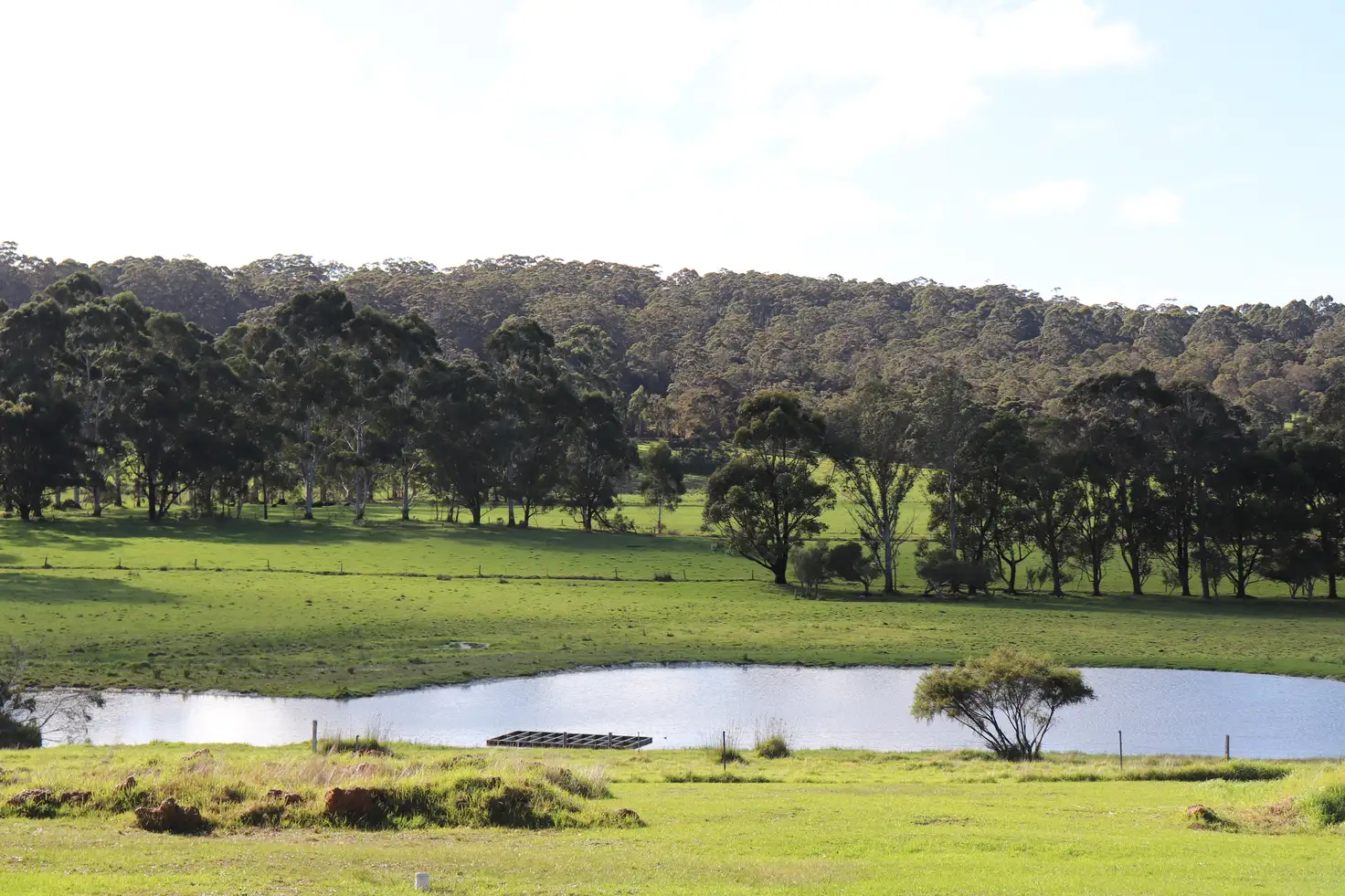 Main view of Homely rural property listing, 129 Harewood Rd, Denmark WA 6333
