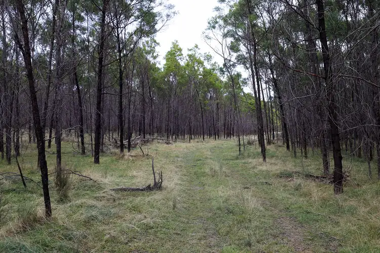 Seventh view of Homely rural property listing, LOT 70/34 McKanes Lane, Windellama NSW 2580