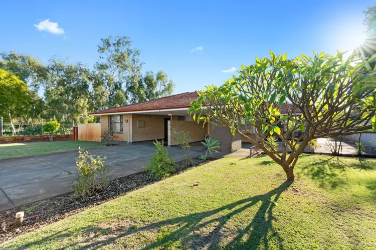 Sixth view of Homely house listing, 151 Alexander Drive, Dianella WA 6059