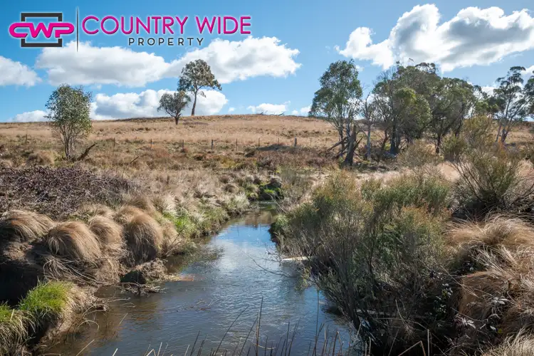 Third view of Homely rural property listing, LOT 241 Coopers Road, Red Range NSW 2370