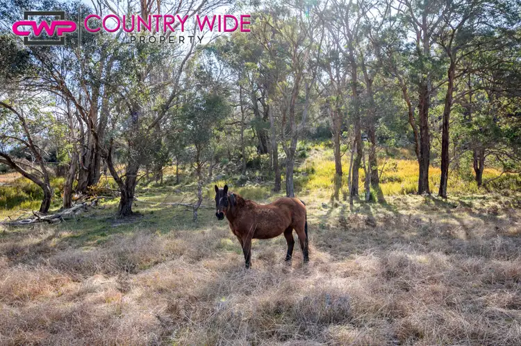 Fourth view of Homely rural property listing, LOT 241 Coopers Road, Red Range NSW 2370