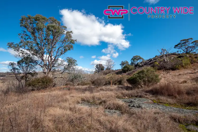 Fifth view of Homely rural property listing, LOT 241 Coopers Road, Red Range NSW 2370