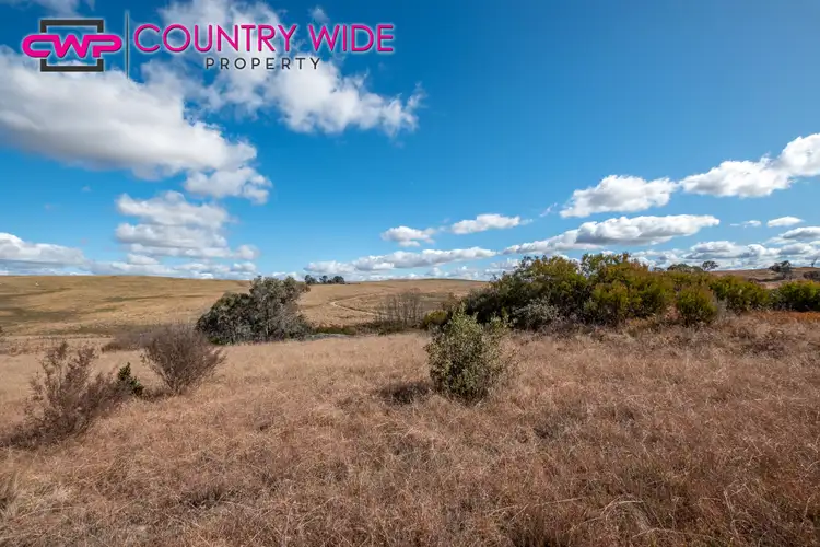 Seventh view of Homely rural property listing, LOT 241 Coopers Road, Red Range NSW 2370