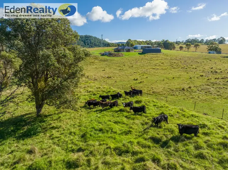 Fourth view of Homely rural property listing, 491 Back Creek Road, Lochiel NSW 2549