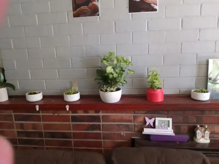 Second view of Homely semi-detached listing, 12 Wanliss Street, Jarrahdale WA 6124
