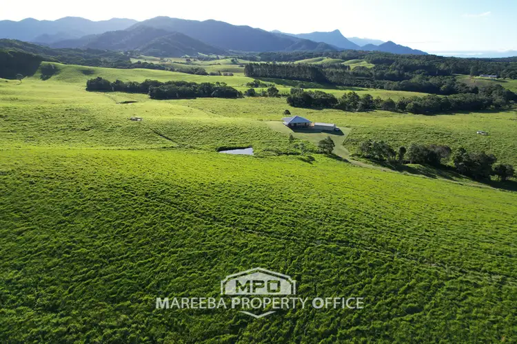 Second view of Homely rural property listing, 220 Clacherty Road, Julatten QLD 4871
