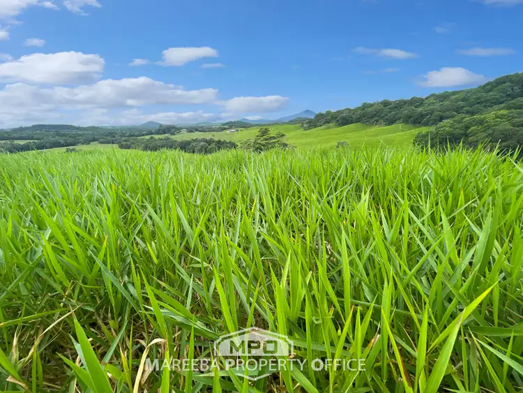 Sixth view of Homely rural property listing, 220 Clacherty Road, Julatten QLD 4871