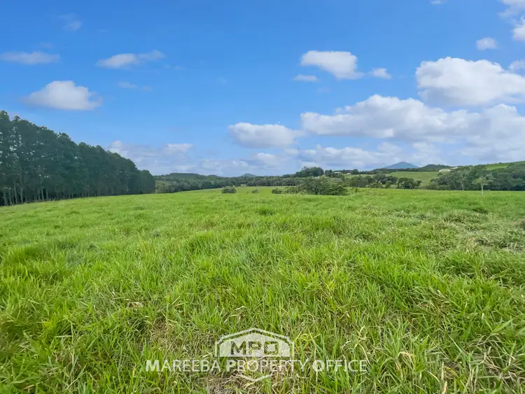 Seventh view of Homely rural property listing, 220 Clacherty Road, Julatten QLD 4871