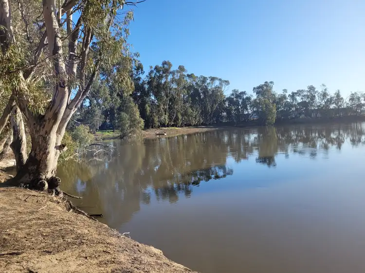 Main view of Homely rural property listing, 157A River Road, Swan Hill VIC 3585