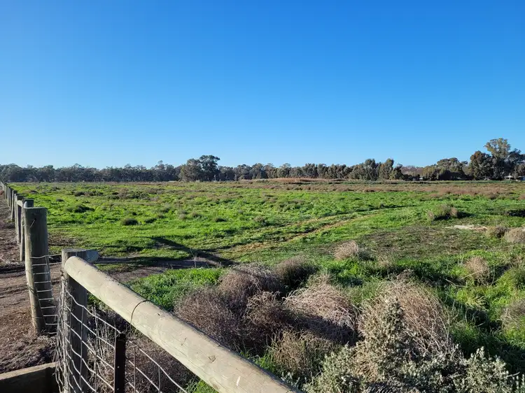 Seventh view of Homely rural property listing, 157A River Road, Swan Hill VIC 3585