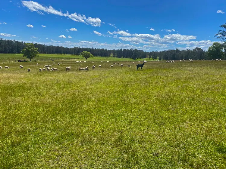 Fourth view of Homely rural property listing, 353 Kundle Kundle Road, Kundle Kundle NSW 2430