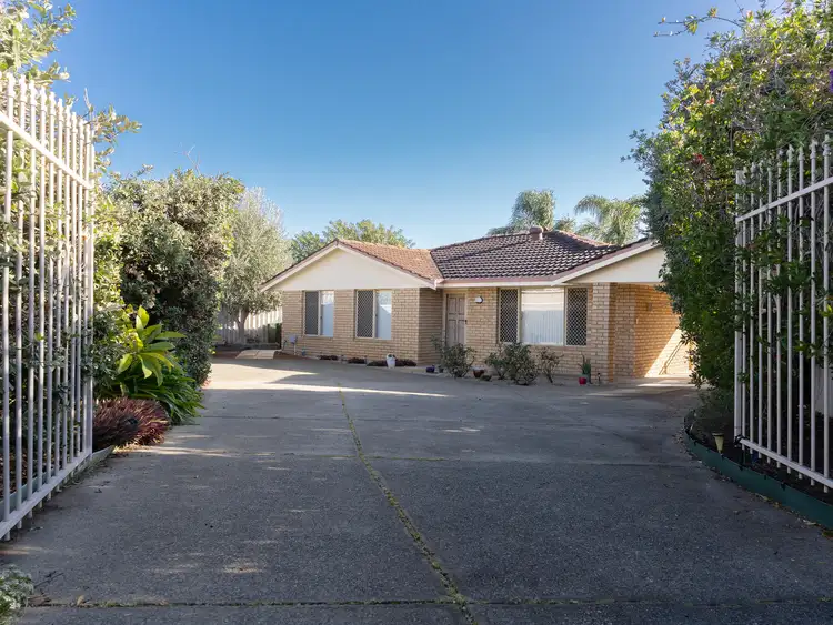 Main view of Homely house listing, 8B Valencia Court, Alexander Heights WA 6064