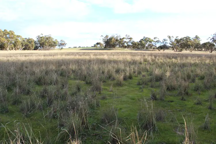 Fifth view of Homely land listing, 20 Reserve Road, Nhill VIC 3418
