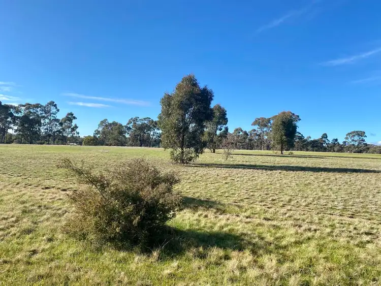Fifth view of Homely rural property listing, lot 2/123 Alma-Moonlight Road, Alma VIC 3465