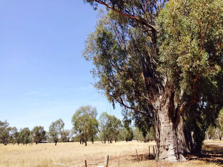 Fourth view of Homely land listing, LOT 1 Baddaginie-Benalla Road, Baddaginnie VIC 3670