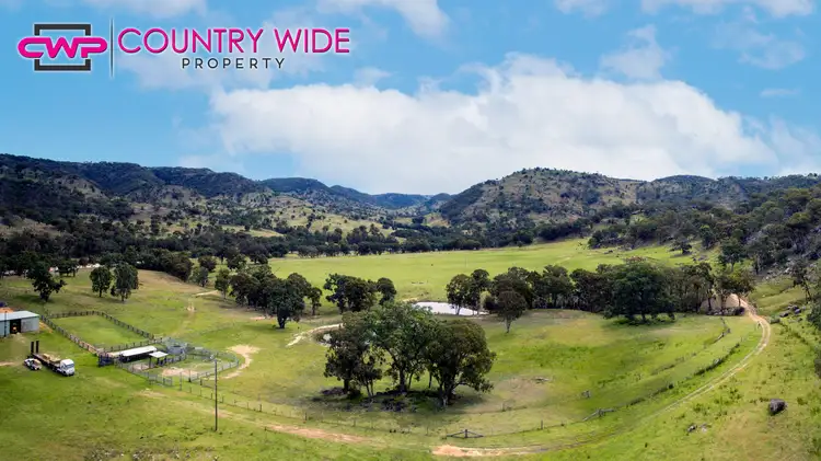 Fourth view of Homely rural property listing, 1017 Bluff River Road, Tenterfield NSW 2372
