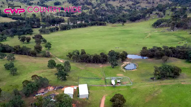 Fifth view of Homely rural property listing, 1017 Bluff River Road, Tenterfield NSW 2372