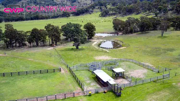 Sixth view of Homely rural property listing, 1017 Bluff River Road, Tenterfield NSW 2372