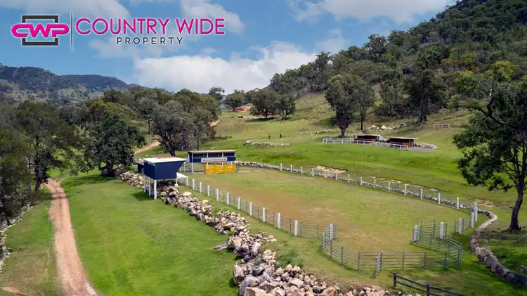 Seventh view of Homely rural property listing, 1017 Bluff River Road, Tenterfield NSW 2372