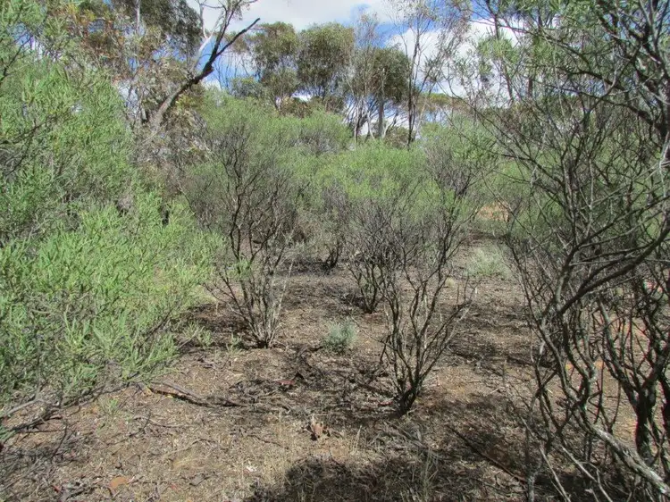 Main view of Homely land listing, LOT 79/82 Mahrong St, Lascelles VIC 3487