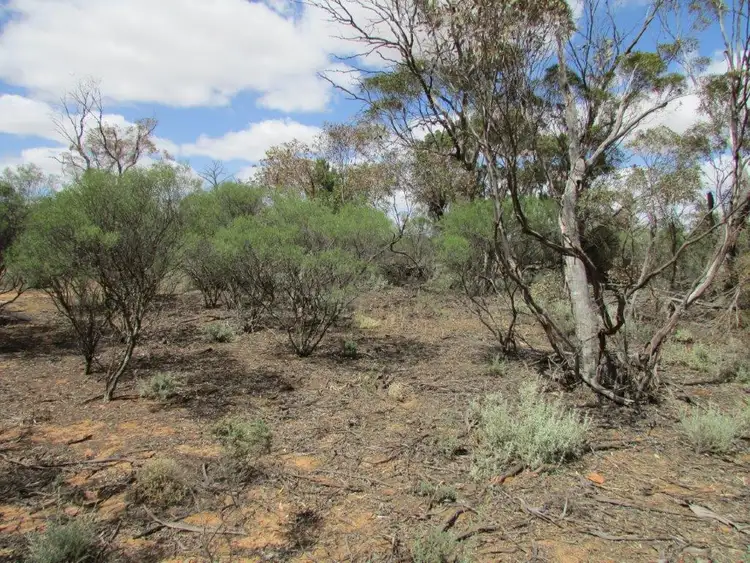 Second view of Homely land listing, LOT 79/82 Mahrong St, Lascelles VIC 3487