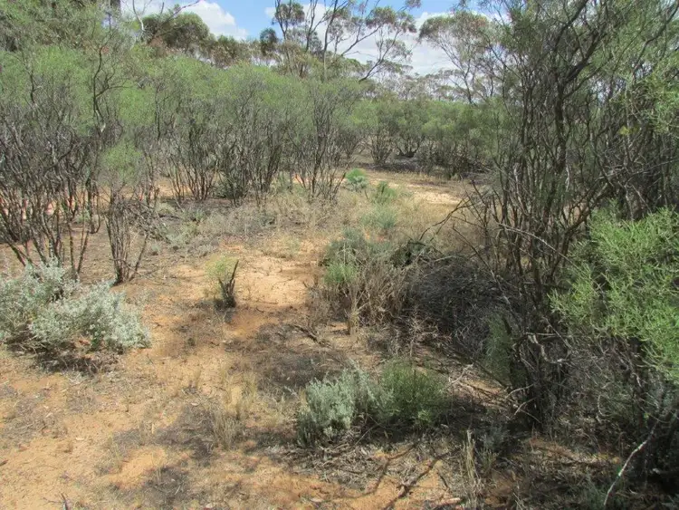 Third view of Homely land listing, LOT 79/82 Mahrong St, Lascelles VIC 3487