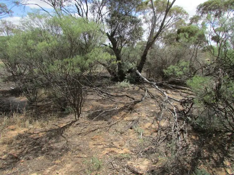 Fifth view of Homely land listing, LOT 79/82 Mahrong St, Lascelles VIC 3487