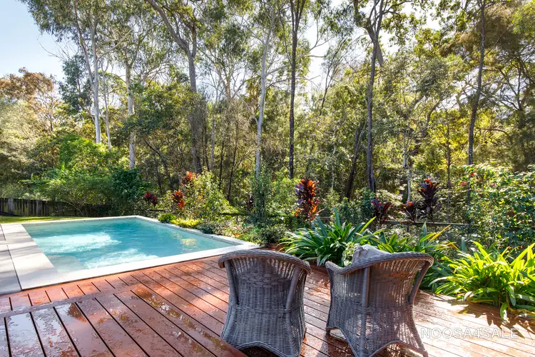 Main view of Homely house listing, 20 Alyxia Court, Noosaville QLD 4566