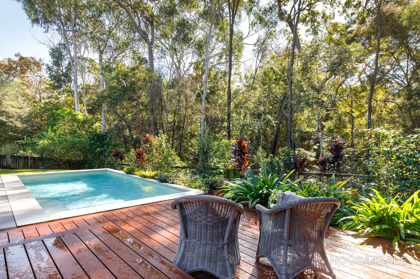 Main view of Homely house listing, 20 Alyxia Court, Noosaville QLD 4566